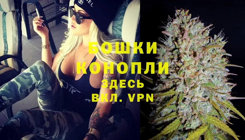 Бошки марихуана THC 21%  Цоци-Юрт 